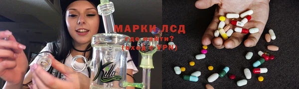 дживик Белокуриха