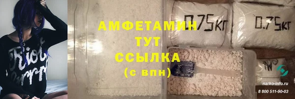 ПСИЛОЦИБИНОВЫЕ ГРИБЫ Бородино