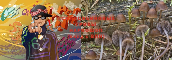 ПСИЛОЦИБИНОВЫЕ ГРИБЫ Бородино